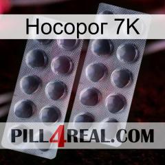 Носорог 7K 31